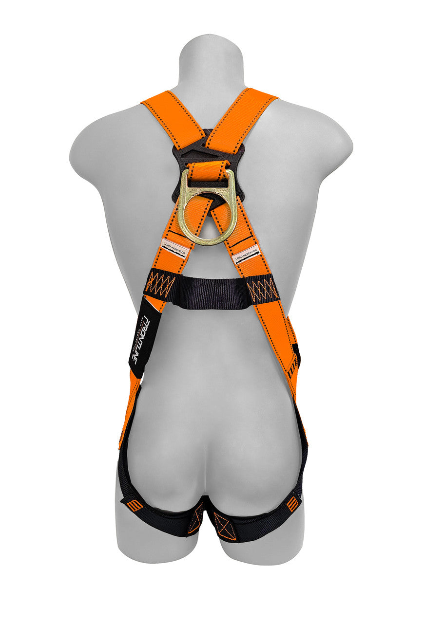 Frontline 100VMB Combat economy vest-style harness, back view