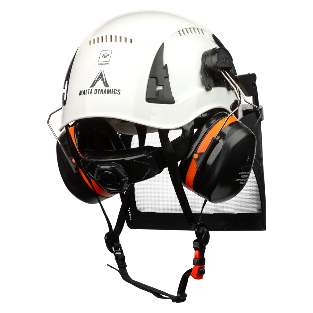 Malta Dynamics Arborist helmet kit, rear view