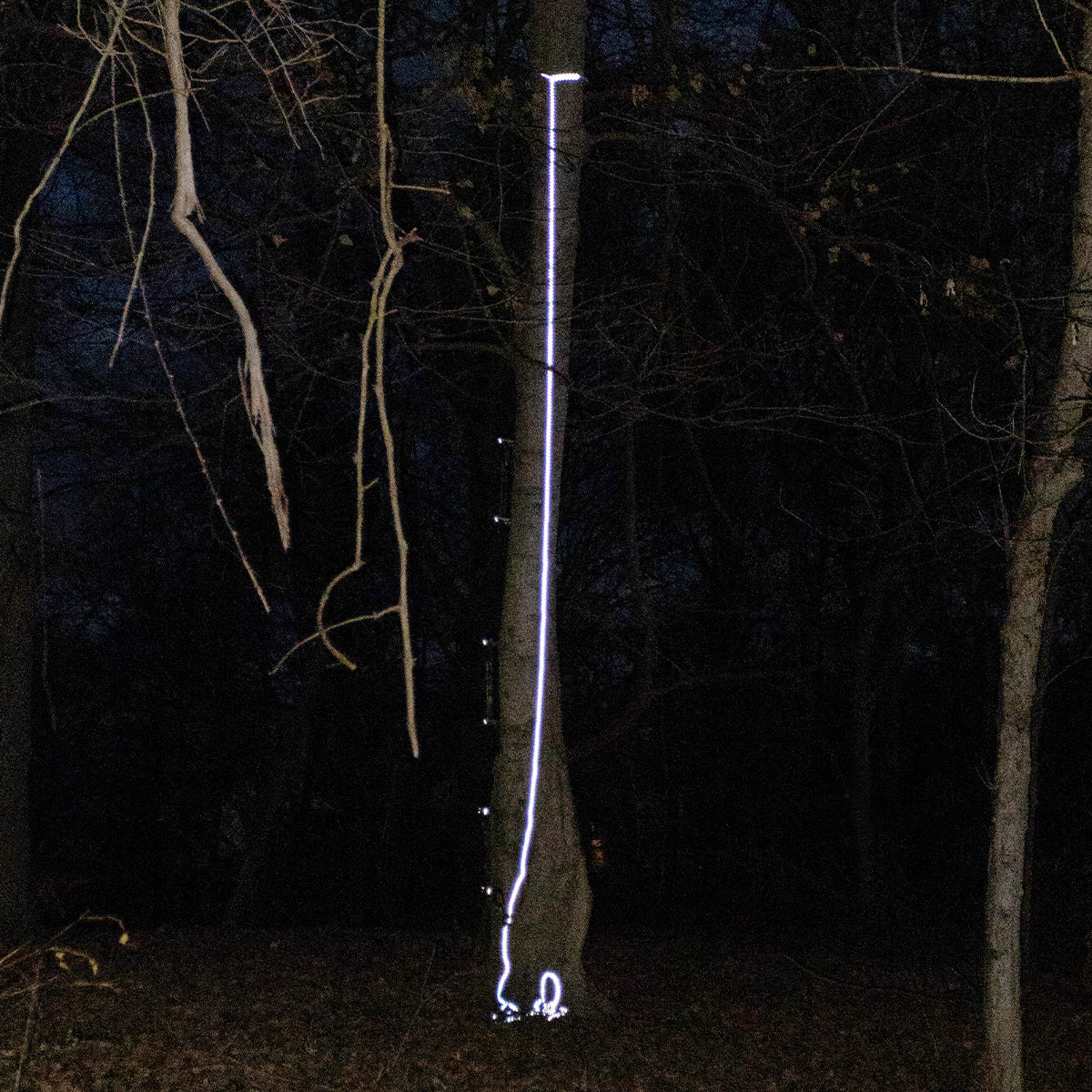 Malta Dynamics HEA4000 30ft Reflective Lifeline - View 5